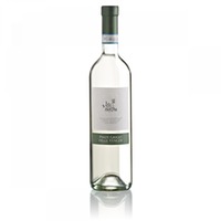 Pinot Grigio Delle Venezie DOC Vitis Nostra 0,75l 12% - | Enoitalia
