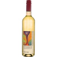 Alte Rebe - Silvaner herb trocken - Wörners Schloss Weingut