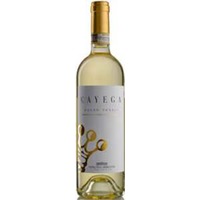 Cayega Roero Arneis