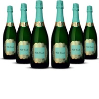 Villa Conchi Cava Brut Seleccion Penedès