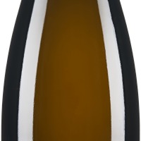 Grüner Veltliner Ried Wachtberg 1ÖTW Erste Lage