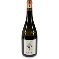 Bianco FAYE Vigneti delle Dolomiti IGT