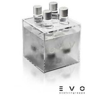 4er Ice-cube