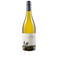 Sauvignon Blanc Quarzit |