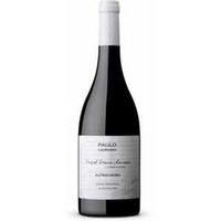 Paulo Laureano Alfrocheiro Rotwein