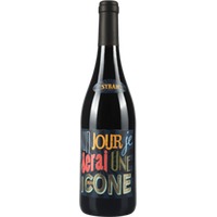 Jeff Carrel Un Jour je serai Une Icone Syrah
