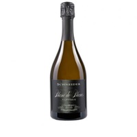 Blanc de Blancs Vintage