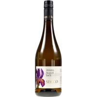 Ein SECCO für jeden Tag trocken - Weingut Johann August Sack