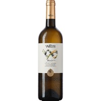 Wilhelm Walch Sauvignon “Krain”