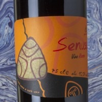 Panevino Senussi