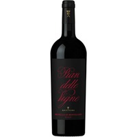 Pian delle Vigne