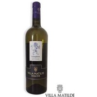 2024er Falanghina