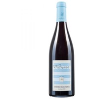 Weingut Wittmann | Spätburgunder |