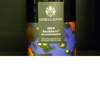 Gesellmann Blaufränkisch Hochberc Burgenland Bio