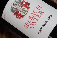 Pinot Noir | trocken | Selbach-Oster