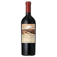 Adrianne V. Mundus Bacilus Terrae Malbec Magnum 1.5L