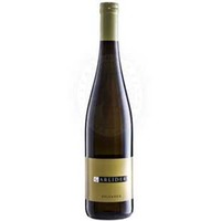 Sylvaner Bio Weinberg Dolomiten Igt Garlider
