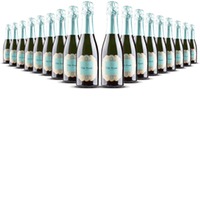Villa Conchi Brut Cava Seleccion 0.375l Penedès