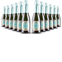 Villa Conchi Brut Cava Seleccion 0.375l Penedès