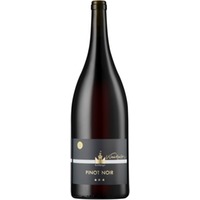 Leingarten Grafenberg Pinot Noir *** "GR" unfiltriert trocken Bio - Weingut Weinreuter