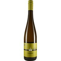 CANDIDUS ** Weissweincuvée feinherb Bio - Weingut Weinreuter
