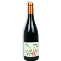 Bodegas La Remediadora Tempranillo Roble Topico La Mancha