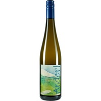 Grüner Veltliner Wechselberg Kamptal DAC trocken - Weinhof Anderl
