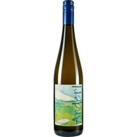 Grauer Burgunder trocken - Weinhof Anderl