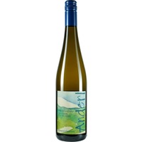 Grüner Veltliner Wechselberg Kamptal DAC - Weinhof Anderl