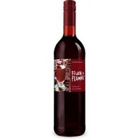 Feuer & Flamme Glühwein aus Rotwein