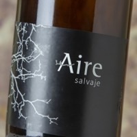 Aire Salvaje