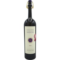 Grappa di Sassicaia
