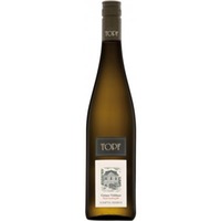 Grüner Veltliner Ried Gaisberg Kamptal DAC Reserve 1ÖTW - Johann Topf