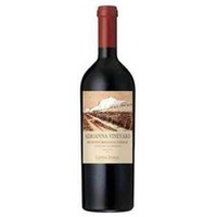 Adrianne V. Mundus Bacilus Terrae Malbec Magnum 1.5L