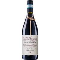 Tralcetto Montepulciano d'Abruzzo DOC Ciccio Zaccagnini