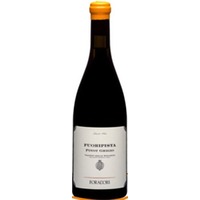 Fuoripista Pinot Grigio VD Dolomiti IGT Foradori