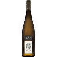 Grüner Veltliner Gaisberg Reserve Topf