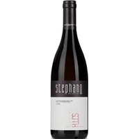 JUNO Grüner Veltliner Leithaberg aus dem BETONEI trocken - Weingut StephanO