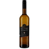 Gundersheimer Sauvignon Blanc Bio trocken