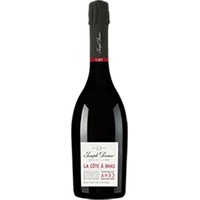 Joseph Perrier : La Côte à Bras