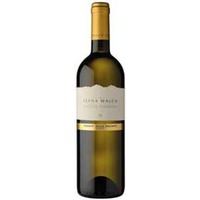 Müller Thurgau Igt Vigneti delle Dolomiti