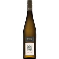 Grüner Veltliner Ried Offenberg Kamptal DAC Reserve 1ÖTW - Johann Topf