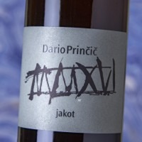 Dario Princic Jakot