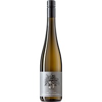 Riesling Ried Hausberg Senftenberg-Kremstal trocken - Andrea Schenter