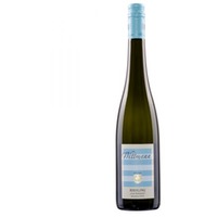 Wittmann | Riesling vom Kalkstein |