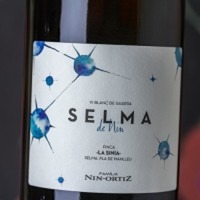 Selma de Nin