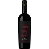 Pian Delle Vigne 2017 - Brunello di Montalcino D.O.C.G. - Antinori