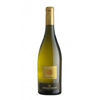 SoloSole - Vermentino Bolgheri D.O.C. - Poggio al Tesoro