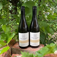 Niedermayr Bronner 2017/18