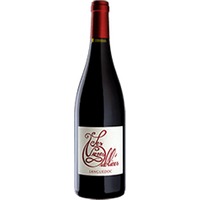Les Vignes Oubliées : Autour du Cinsault